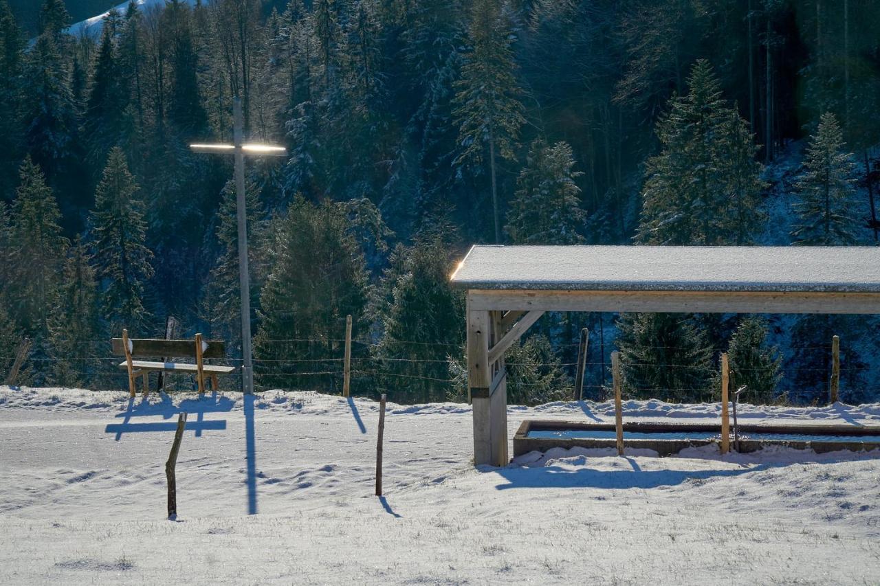 Unser Vorsaess - Geisskopf Schwarzenberg Exterior photo
